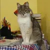 Отзыв от Любовь Блинова